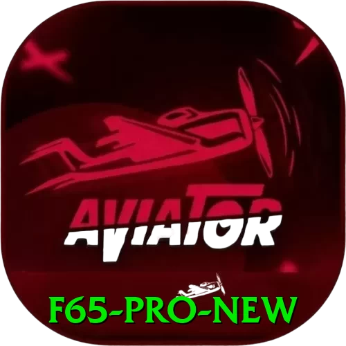 f65 Pro New - app