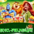 tvvpg - Gaming Premium